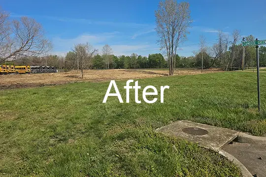 after forest mulch belleville illinois